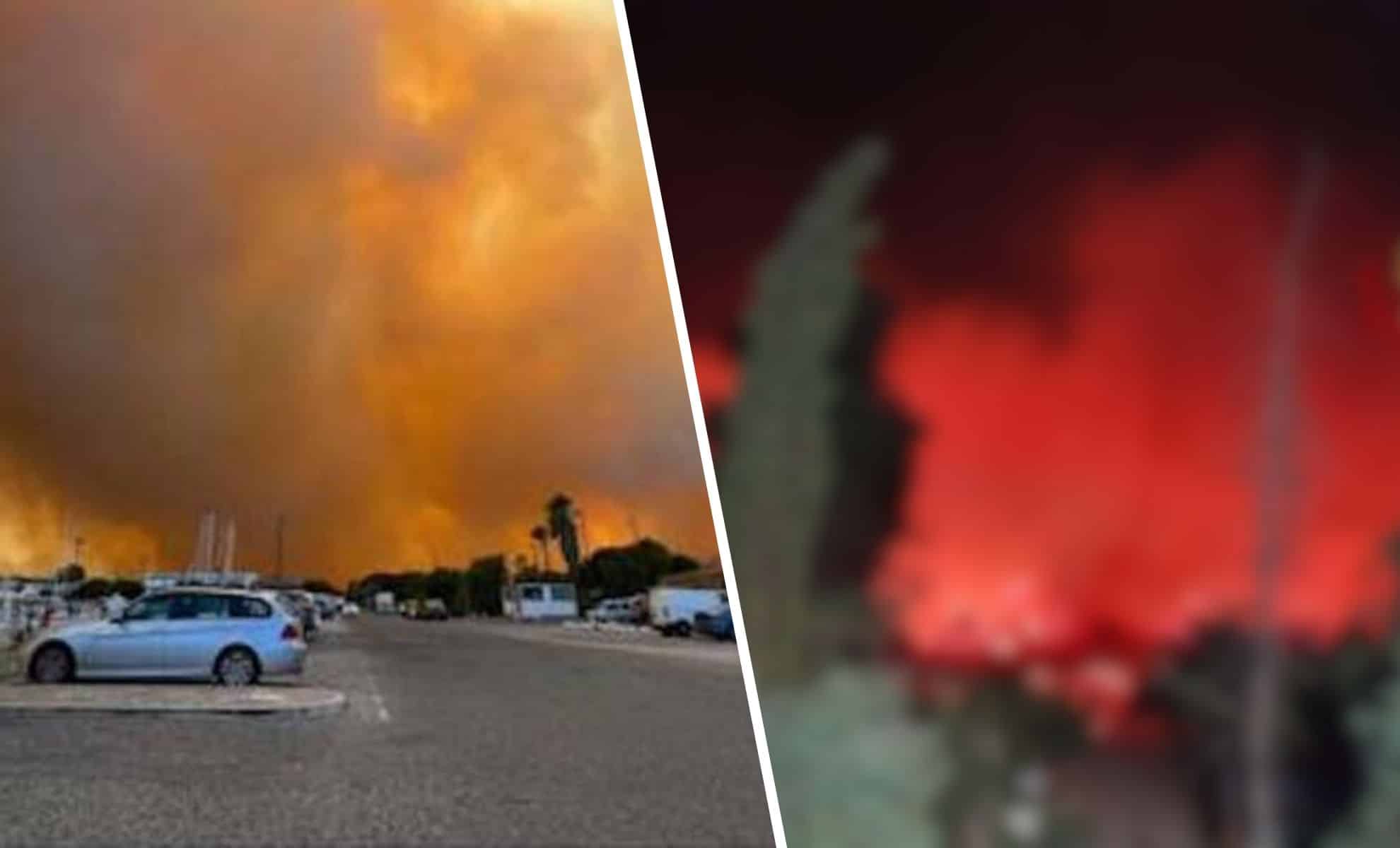 Incendi In Sardegna Una Lotta Contro Le Fiamme E I Responsabili